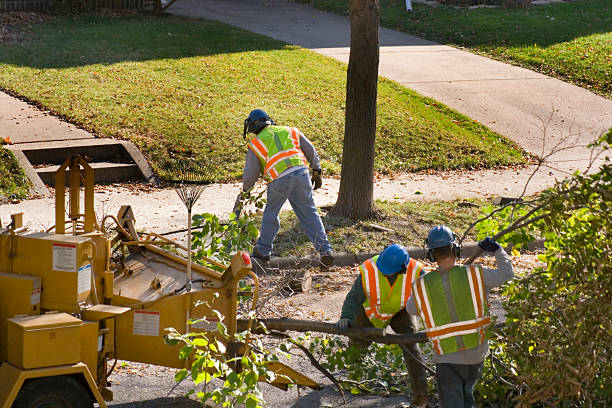 Best Lawn Renovation and Restoration  in Midtown, TN