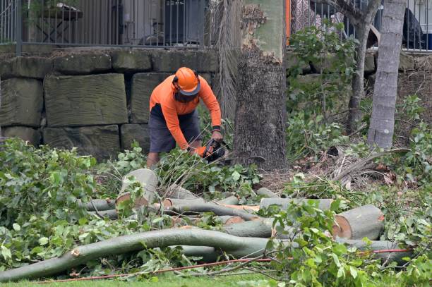 Best Utility Line Clearance  in Midtown, TN